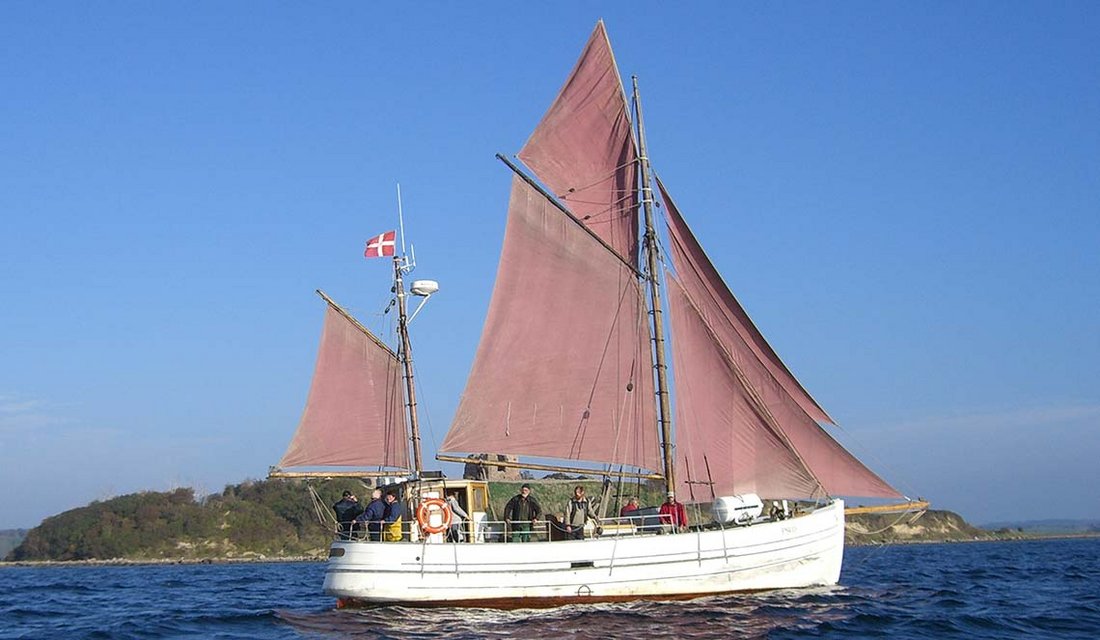 Vdteranskibet Skødshoved